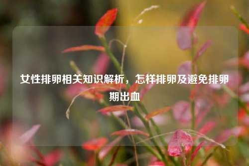 女性排卵相关知识解析，怎样排卵及避免排卵期出血