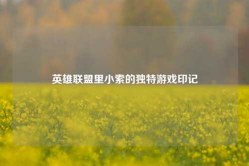 英雄联盟里小索的独特游戏印记