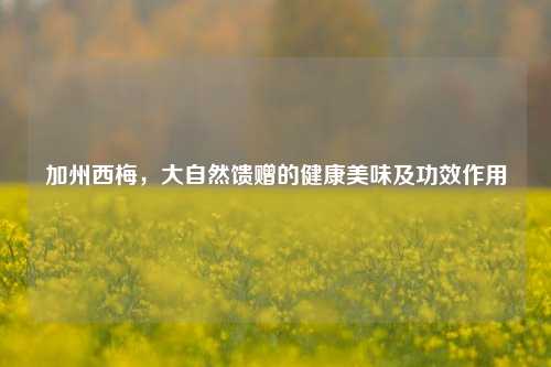 加州西梅，大自然馈赠的健康美味及功效作用