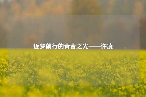 逐梦前行的青春之光——许凌