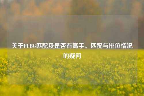 关于PUBG匹配及是否有高手、匹配与排位情况的疑问