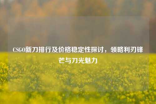 CSGO新刀排行及价格稳定性探讨,领略利刃锋芒与刀光魅力