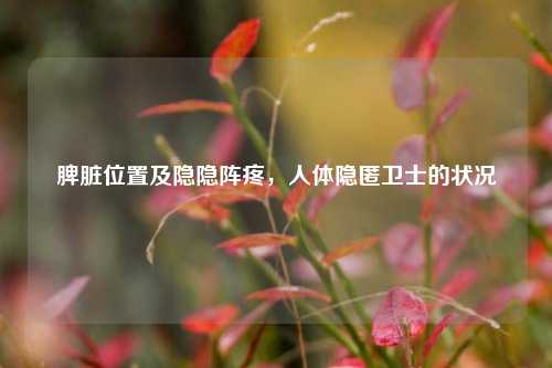 脾脏位置及隐隐阵疼,人体隐匿卫士的状况