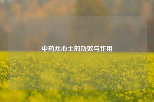 中药灶心土的功效与作用