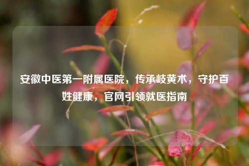 安徽中医第一附属医院,传承岐黄术,守护百姓健康,官网引领就医指南