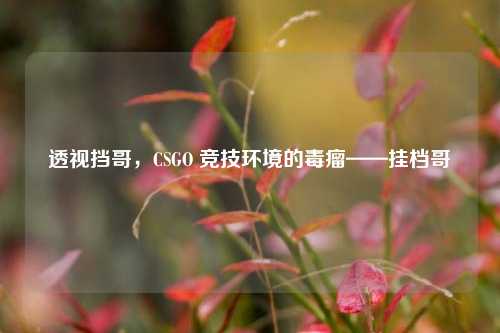 透视挡哥，CSGO 竞技环境的毒瘤——挂档哥