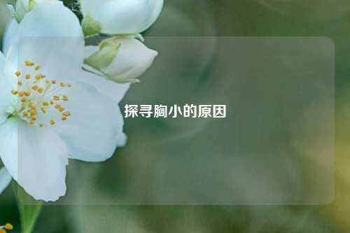 探寻胸小的原因