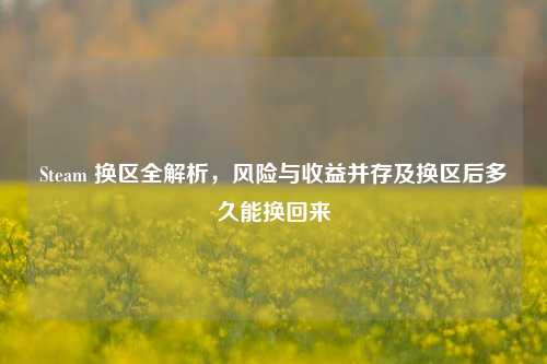 Steam 换区全解析,风险与收益并存及换区后多久能换回来