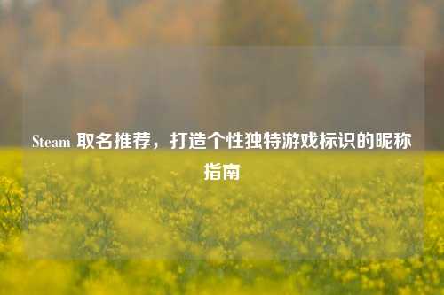 Steam 取名推荐,打造个性独特游戏标识的昵称指南