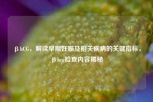 βhCG,解读早期妊娠及相关疾病的关键指标,βhcg检查内容揭秘