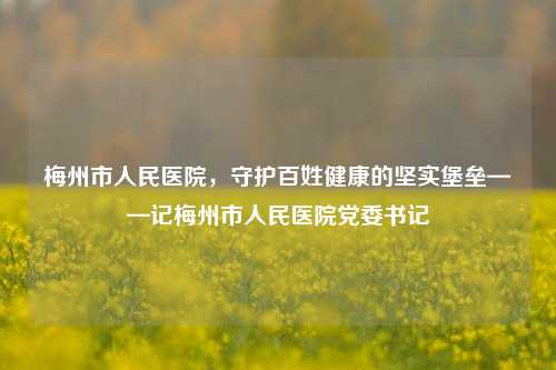 梅州市人民医院,守护百姓健康的坚实堡垒——记梅州市人民医院党委书记