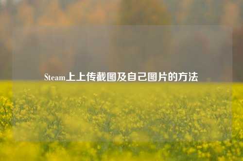 Steam上上传截图及自己图片的方法