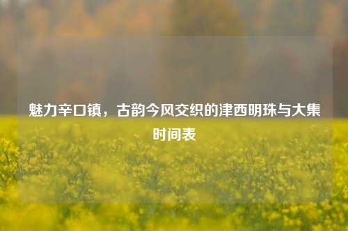 魅力辛口镇,古韵今风交织的津西明珠与大集时间表