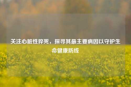 关注心脏性猝死,探寻其最主要病因以守护生命健康防线