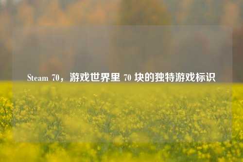Steam 70,游戏世界里 70 块的独特游戏标识
