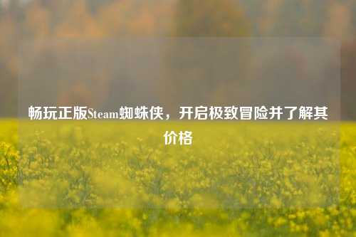 畅玩正版Steam蜘蛛侠，开启极致冒险并了解其价格