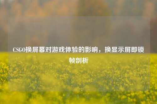 CSGO换屏幕对游戏体验的影响,换显示屏即锁帧剖析
