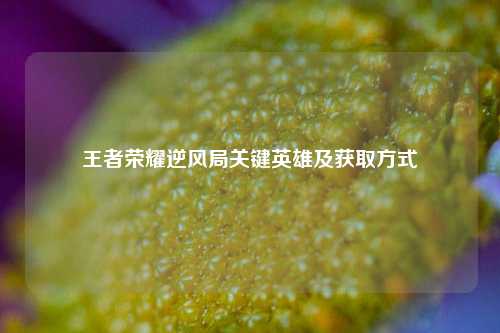 王者荣耀逆风局关键英雄及获取方式