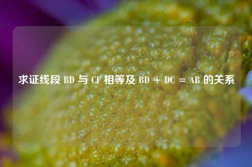 求证线段 BD 与 CF 相等及 BD + DC = AB 的关系
