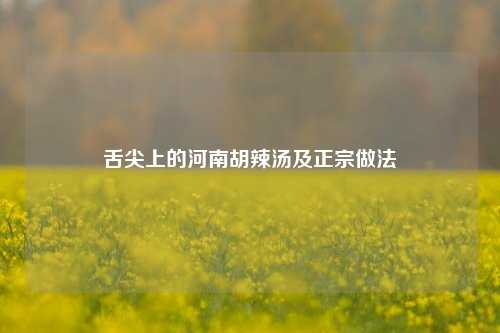 舌尖上的河南胡辣汤及正宗做法