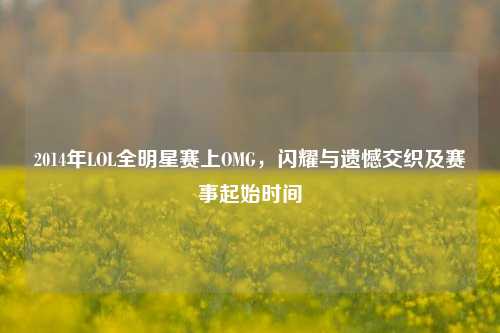 2014年LOL全明星赛上OMG，闪耀与遗憾交织及赛事起始时间