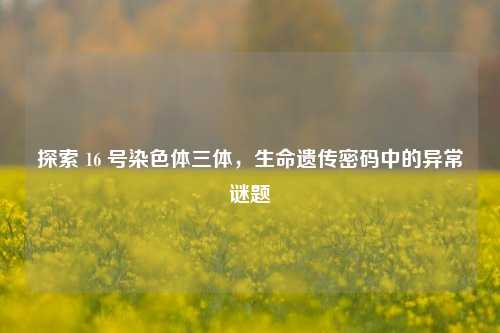 探索 16 号染色体三体,生命遗传密码中的异常谜题