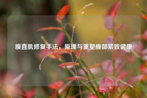 腹直肌修复手法,原理与重塑腹部紧致健康