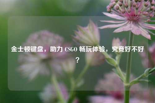 金士顿键盘，助力 CSGO 畅玩体验，究竟好不好？