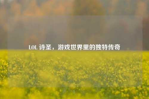 LOL 诗圣,游戏世界里的独特传奇
