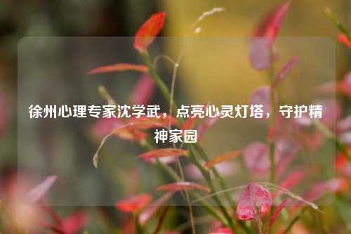 徐州心理专家沈学武，点亮心灵灯塔，守护精神家园