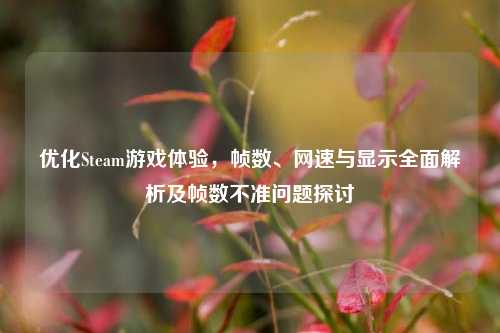 优化Steam游戏体验,帧数、网速与显示全面解析及帧数不准问题探讨