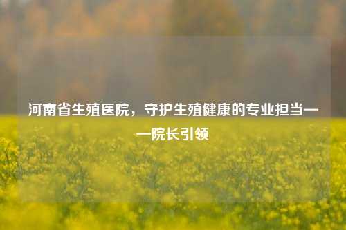 河南省生殖医院,守护生殖健康的专业担当——院长引领