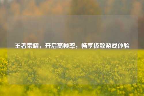王者荣耀，开启高帧率，畅享极致游戏体验