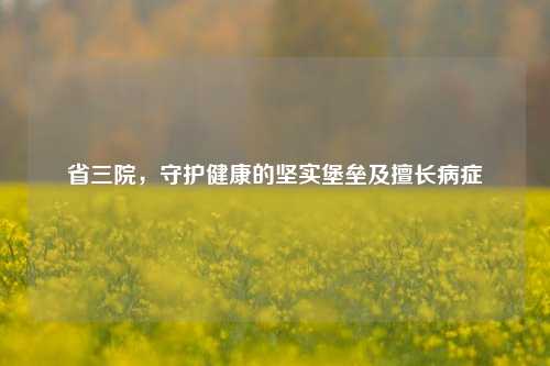 省三院，守护健康的坚实堡垒及擅长病症