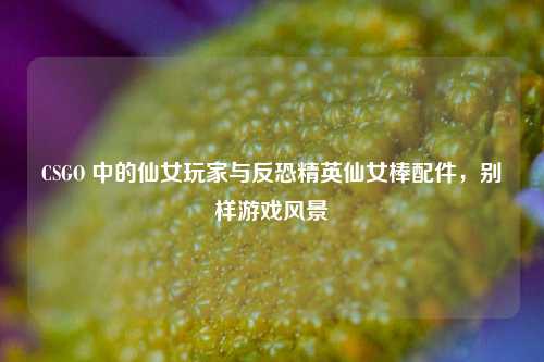 CSGO 中的仙女玩家与反恐精英仙女棒配件,别样游戏风景