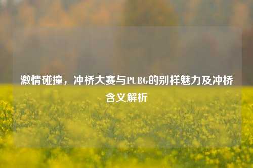 激情碰撞，冲桥大赛与PUBG的别样魅力及冲桥含义解析