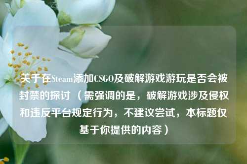 关于在Steam添加CSGO及破解游戏游玩是否会被封禁的探讨 （需强调的是，破解游戏涉及侵权和违反平台规定行为，不建议尝试，本标题仅基于你提供的内容）