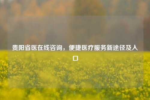 贵阳省医在线咨询，便捷医疗服务新途径及入口