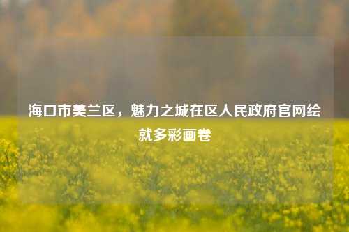 海口市美兰区,魅力之城在区人民政府官网绘就多彩画卷