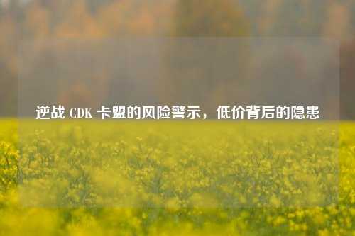 逆战 CDK 卡盟的风险警示,低价背后的隐患