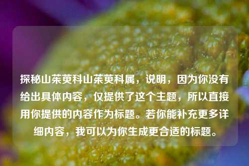 探秘山茱萸科山茱萸科属，说明，因为你没有给出具体内容，仅提供了这个主题，所以直接用你提供的内容作为标题。若你能补充更多详细内容，我可以为你生成更合适的标题。
