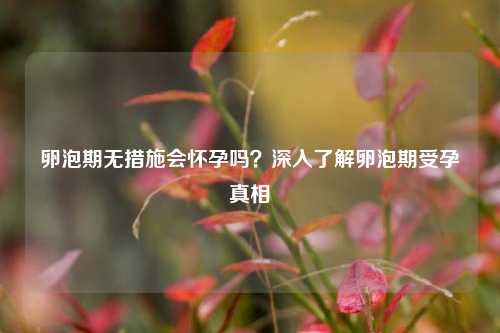 卵泡期无措施会怀孕吗？深入了解卵泡期受孕真相