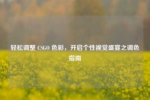 轻松调整 CSGO 色彩,开启个性视觉盛宴之调色指南