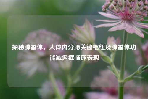 探秘腺垂体,人体内分泌关键枢纽及腺垂体功能减退症临床表现