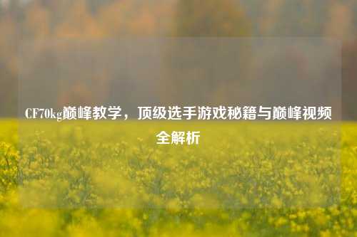 CF70kg巅峰教学,顶级选手游戏秘籍与巅峰视频全解析