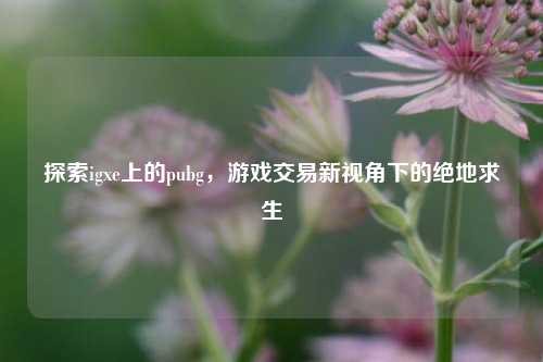 探索igxe上的pubg，游戏交易新视角下的绝地求生