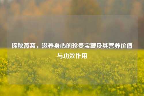 探秘燕窝,滋养身心的珍贵宝藏及其营养价值与功效作用