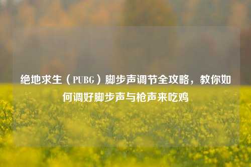 绝地求生(PUBG)脚步声调节全攻略,教你如何调好脚步声与枪声来吃鸡