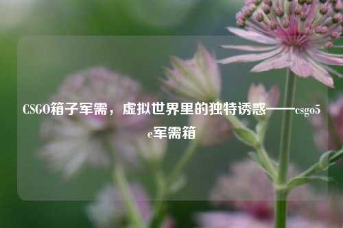 CSGO箱子军需,虚拟世界里的独特诱惑——csgo5e军需箱