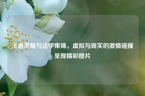 王者荣耀与法甲集锦，虚拟与现实的激情碰撞呈现精彩图片